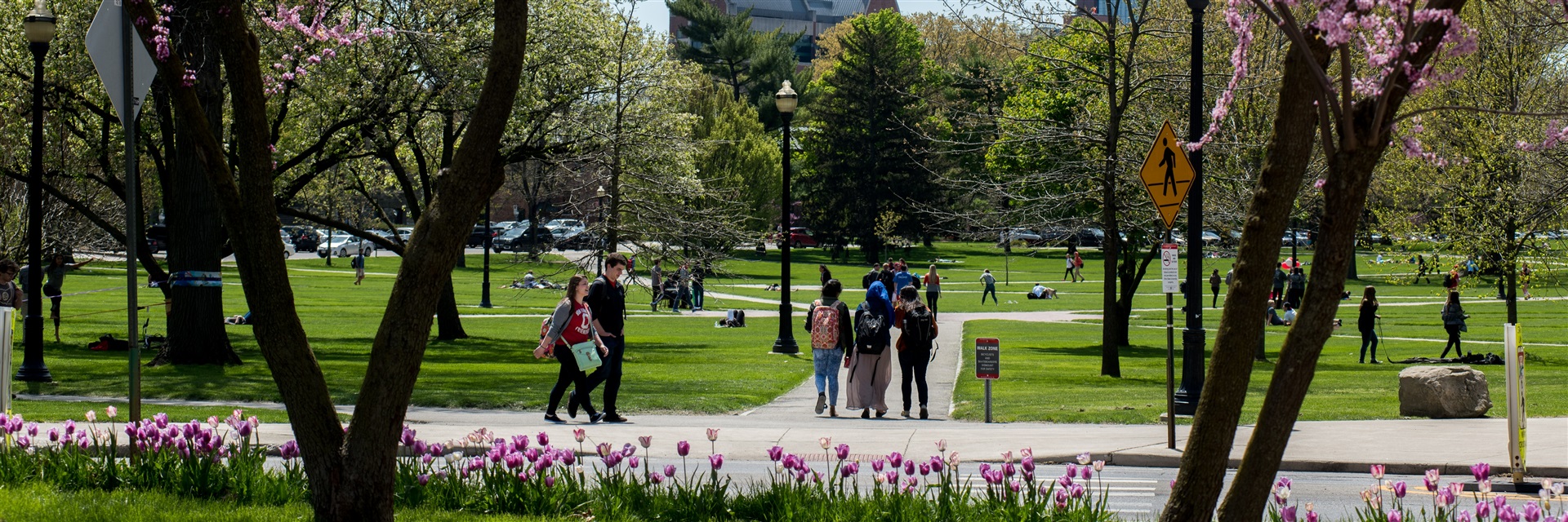 Important Updates for Spring Break (2026)