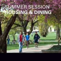 FEATURE: Summer Session